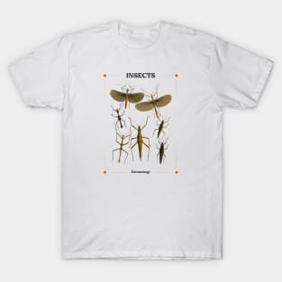 Insects I T-Shirt